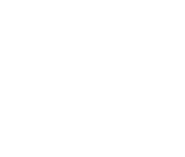 chipsoft