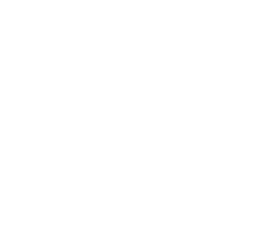 UniCarScan
